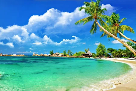 Explore top holiday destinations with the best travel agency offering domestic and international tour packages